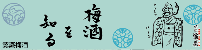 認識梅酒