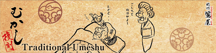 Traditional Umeshu 